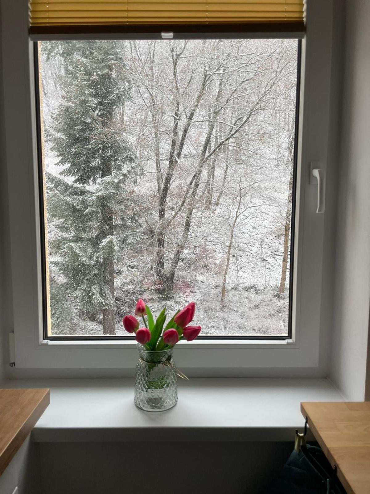 Apartman Claudia - Rezidence K Lanovce Jáchymov Buitenkant foto
